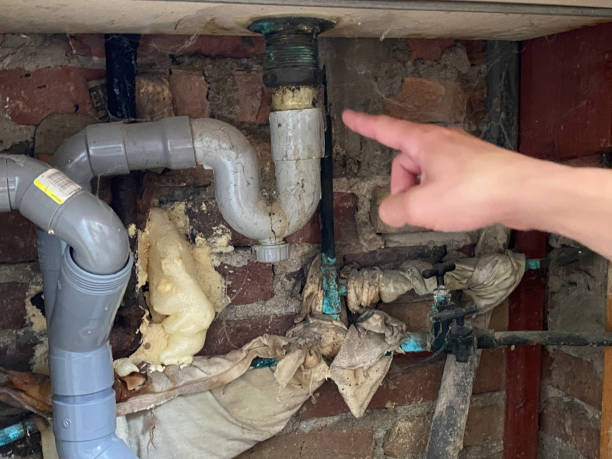 Best Water damage contractors near me  in Beaver, UT