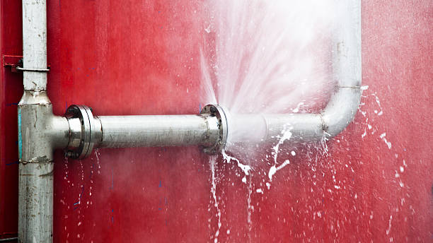 Best Water damage cleanup near me  in Beaver, UT